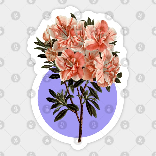 Blue and pink azalea design Sticker by Nosa rez